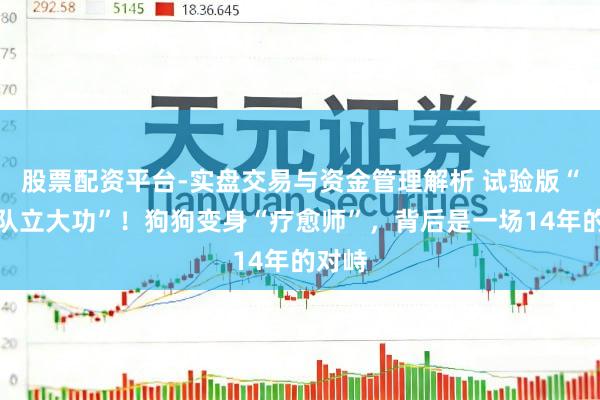 股票配资平台-实盘交易与资金管理解析 试验版“汪汪队立大功”！狗狗变身“疗愈师”，背后是一场14年的对峙
